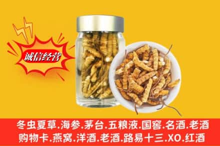 大理州南涧回收散虫草