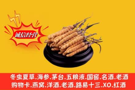 大理州南涧高价上门回收虫草多少钱每克